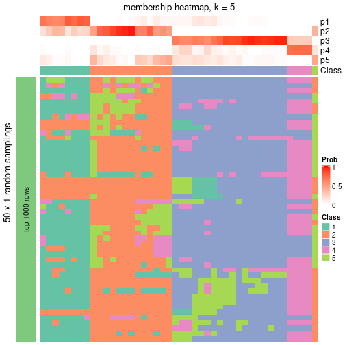 plot of chunk tab-node-03-membership-heatmap-4