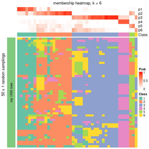 plot of chunk tab-node-03-membership-heatmap-5