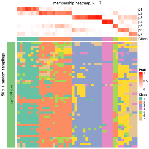 plot of chunk tab-node-03-membership-heatmap-6