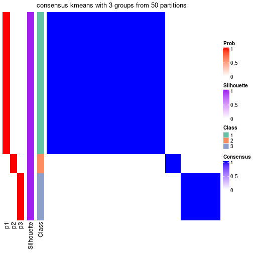 plot of chunk tab-node-031-consensus-heatmap-2