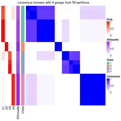 plot of chunk tab-node-031-consensus-heatmap-3