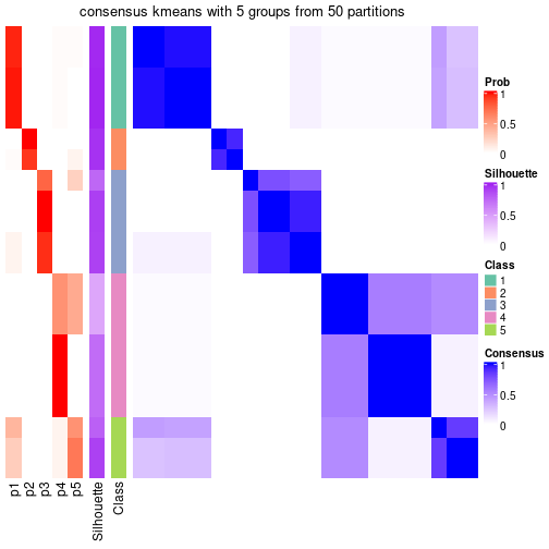 plot of chunk tab-node-031-consensus-heatmap-4