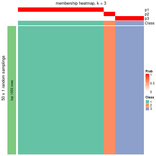 plot of chunk tab-node-031-membership-heatmap-2