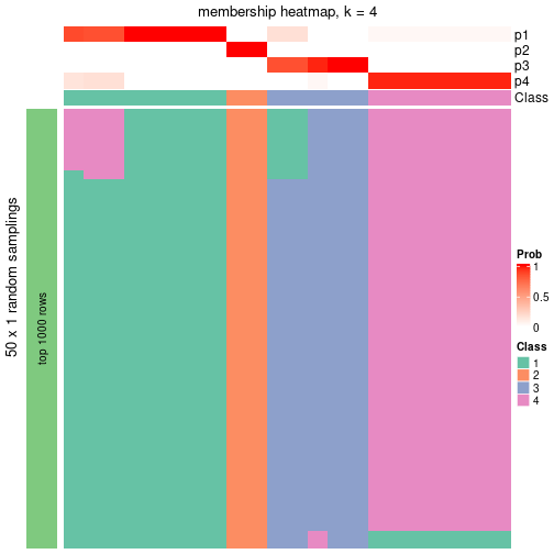 plot of chunk tab-node-031-membership-heatmap-3