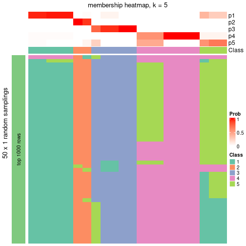 plot of chunk tab-node-031-membership-heatmap-4