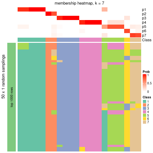 plot of chunk tab-node-031-membership-heatmap-6