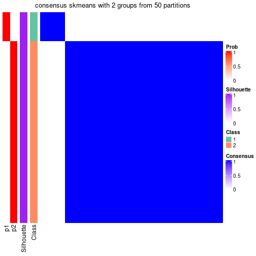 plot of chunk tab-node-032-consensus-heatmap-1