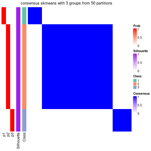 plot of chunk tab-node-032-consensus-heatmap-2