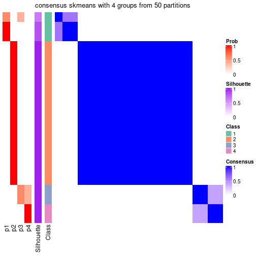 plot of chunk tab-node-032-consensus-heatmap-3