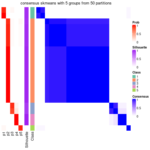 plot of chunk tab-node-032-consensus-heatmap-4