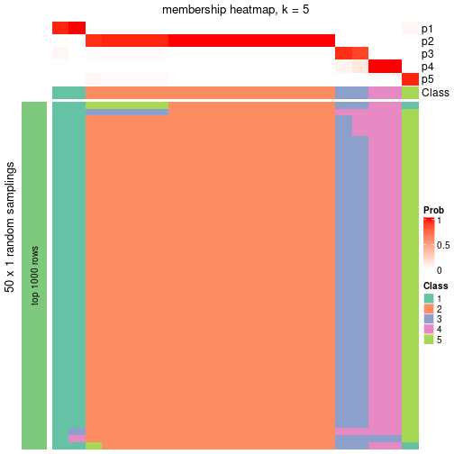 plot of chunk tab-node-032-membership-heatmap-4