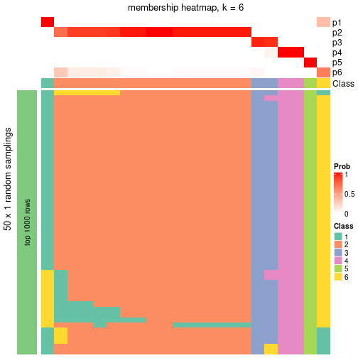 plot of chunk tab-node-032-membership-heatmap-5