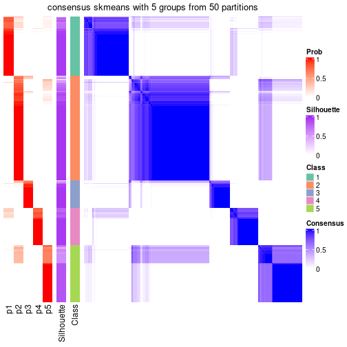 plot of chunk tab-node-0-consensus-heatmap-4