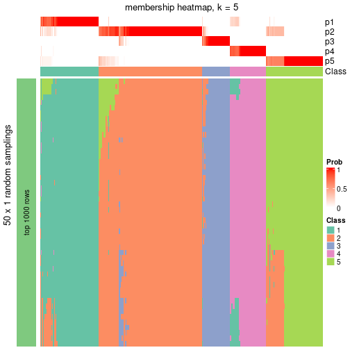 plot of chunk tab-node-0-membership-heatmap-4