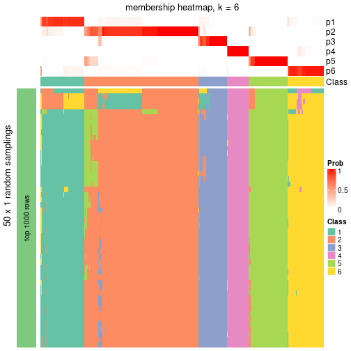 plot of chunk tab-node-0-membership-heatmap-5