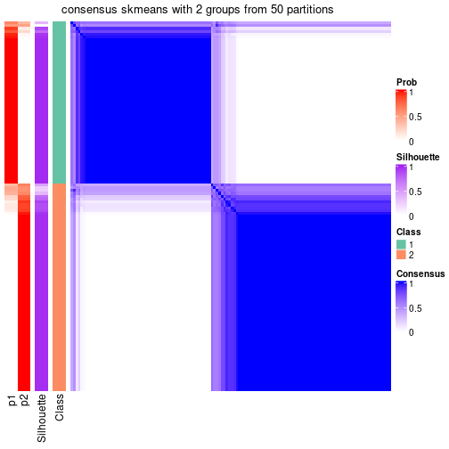 plot of chunk tab-node-01-consensus-heatmap-1