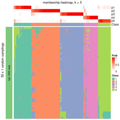 plot of chunk tab-node-01-membership-heatmap-4