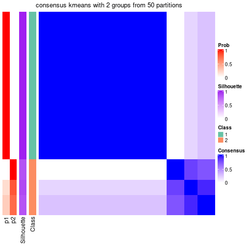 plot of chunk tab-node-011-consensus-heatmap-1