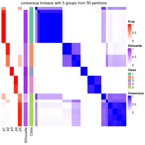 plot of chunk tab-node-011-consensus-heatmap-4