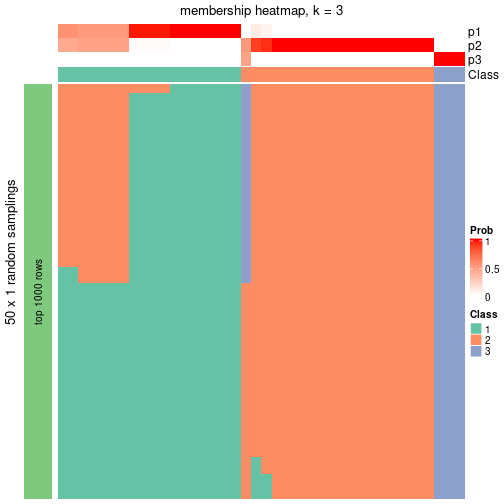 plot of chunk tab-node-011-membership-heatmap-2