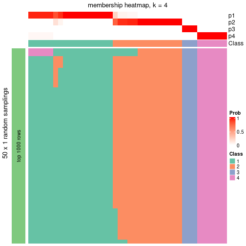 plot of chunk tab-node-011-membership-heatmap-3