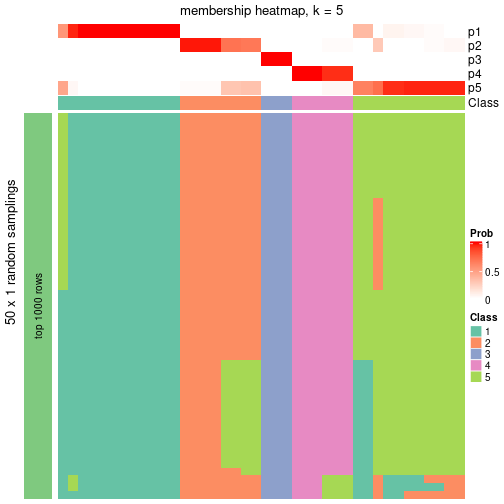 plot of chunk tab-node-011-membership-heatmap-4