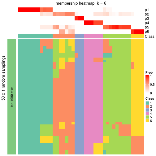 plot of chunk tab-node-011-membership-heatmap-5