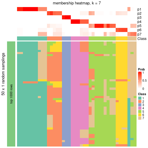 plot of chunk tab-node-011-membership-heatmap-6