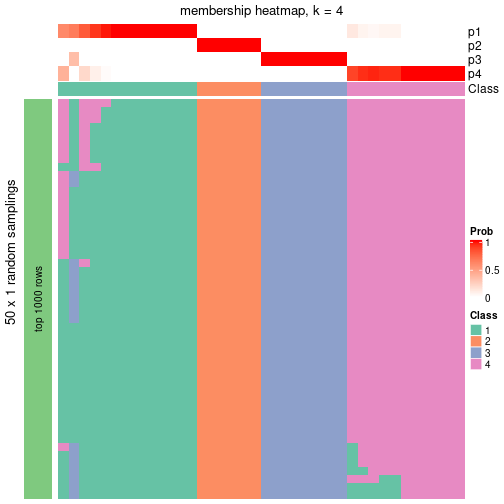 plot of chunk tab-node-012-membership-heatmap-3