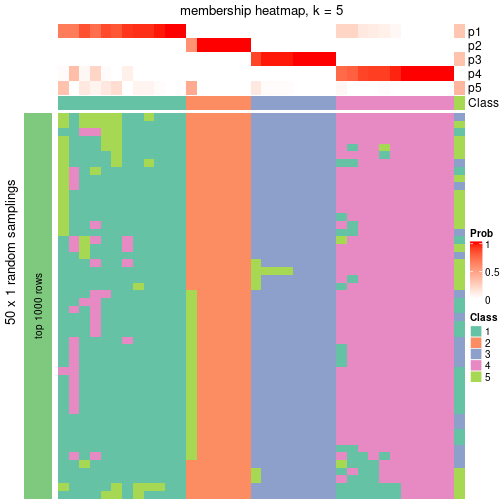 plot of chunk tab-node-012-membership-heatmap-4