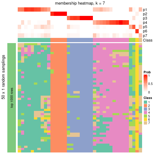 plot of chunk tab-node-012-membership-heatmap-6