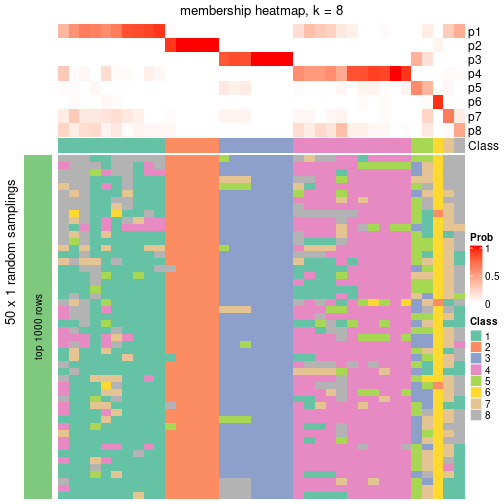 plot of chunk tab-node-012-membership-heatmap-7