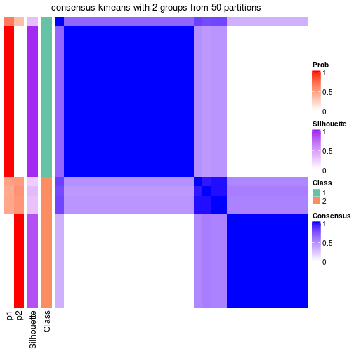 plot of chunk tab-node-013-consensus-heatmap-1