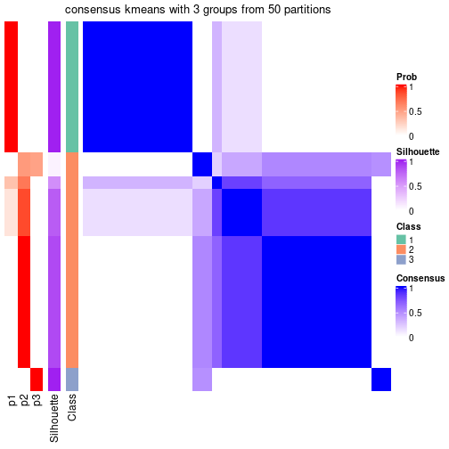 plot of chunk tab-node-013-consensus-heatmap-2