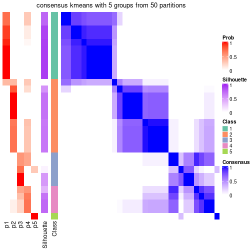 plot of chunk tab-node-013-consensus-heatmap-4