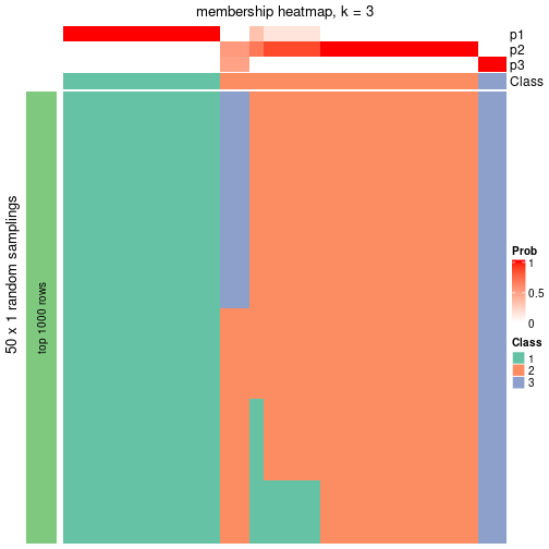 plot of chunk tab-node-013-membership-heatmap-2