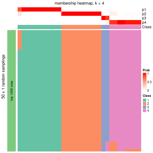 plot of chunk tab-node-013-membership-heatmap-3