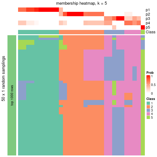 plot of chunk tab-node-013-membership-heatmap-4