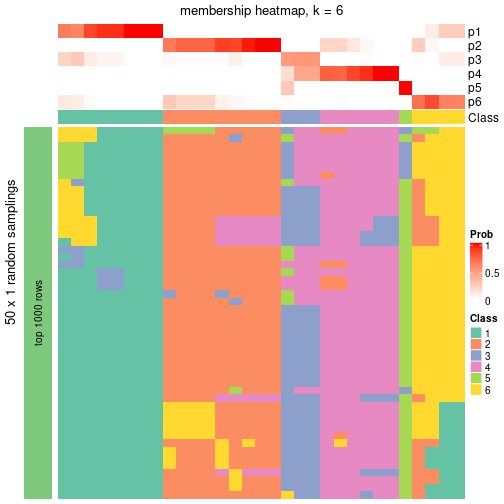 plot of chunk tab-node-013-membership-heatmap-5