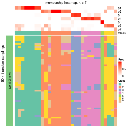 plot of chunk tab-node-013-membership-heatmap-6