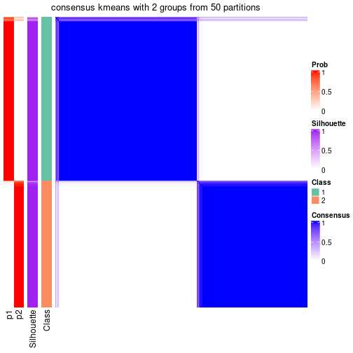 plot of chunk tab-node-02-consensus-heatmap-1