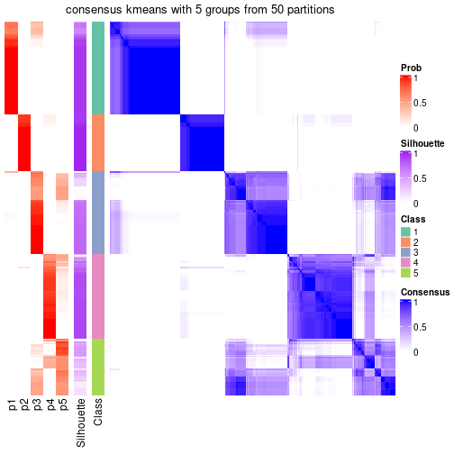 plot of chunk tab-node-02-consensus-heatmap-4