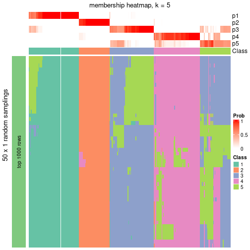 plot of chunk tab-node-02-membership-heatmap-4