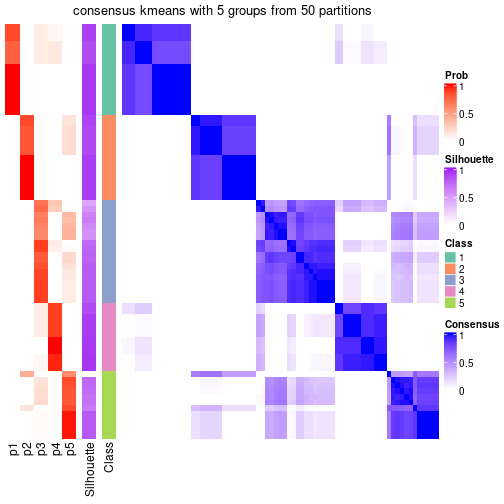 plot of chunk tab-node-021-consensus-heatmap-4