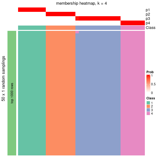 plot of chunk tab-node-021-membership-heatmap-3