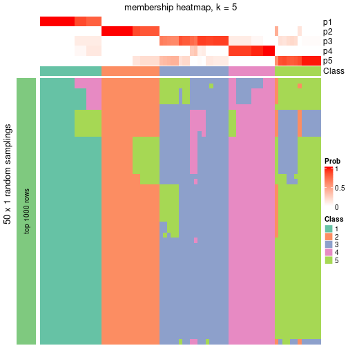 plot of chunk tab-node-021-membership-heatmap-4