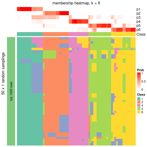 plot of chunk tab-node-021-membership-heatmap-5