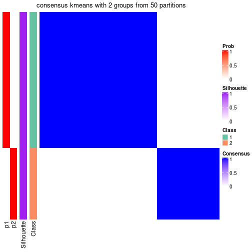 plot of chunk tab-node-0213-consensus-heatmap-1