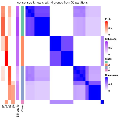 plot of chunk tab-node-0213-consensus-heatmap-3