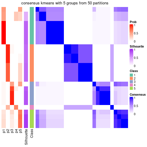 plot of chunk tab-node-0213-consensus-heatmap-4